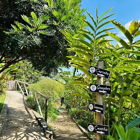 Villa Garibaldi Joanópolis エクステリア 写真