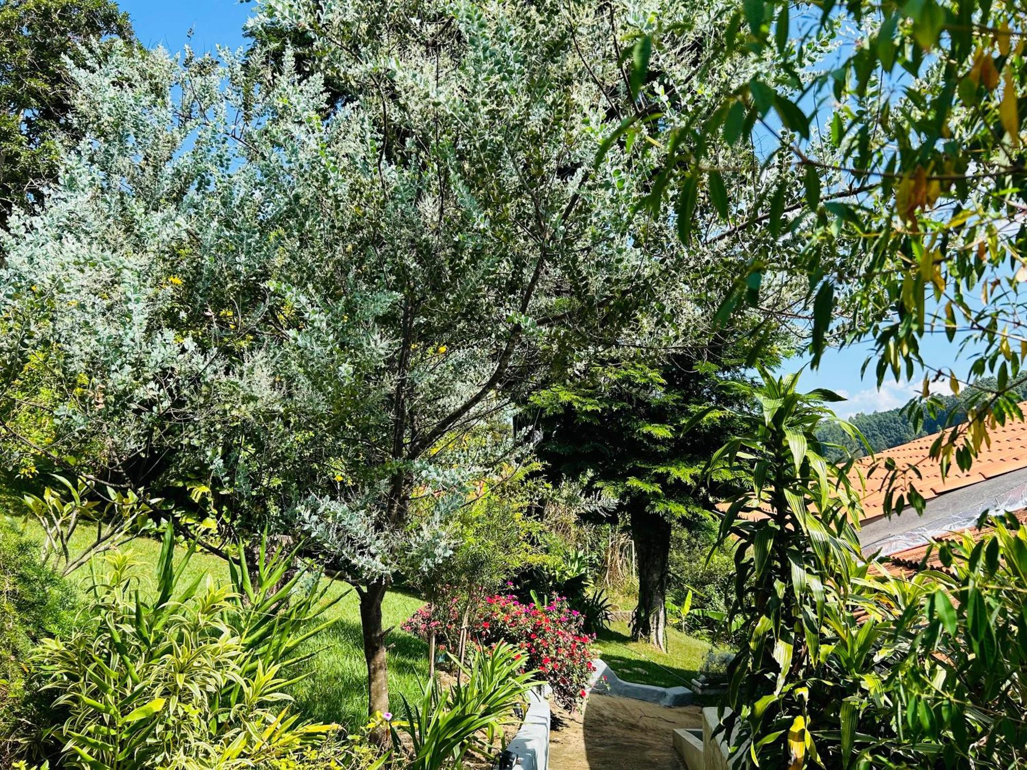 Villa Garibaldi Joanópolis エクステリア 写真